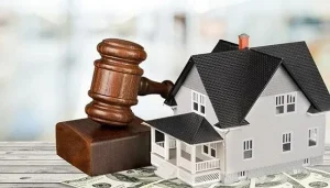 Cách kiểm tra pháp lý nhà đất? Bí quyết "bỏ túi" giúp bạn an tâm giao dịch