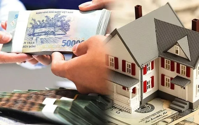 Các Loại Hình Bất Động Sản Phổ Biến Tại Việt Nam
